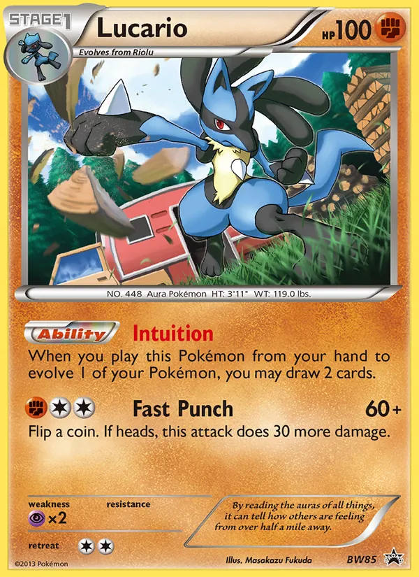 Lucario #BW85, BW Black Star Holo, TCGdex reference