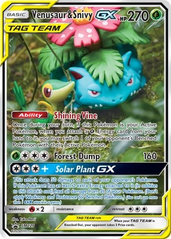 Venusaur & Snivy GX #SM229, English SM Black Star Promos promo, reference image