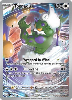 Tornadus #210, English SVP Black Star Promos promo, reference image