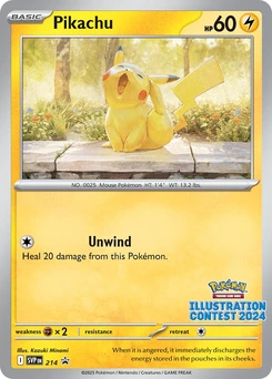Pikachu #214, English SVP Black Star Promos promo, reference image