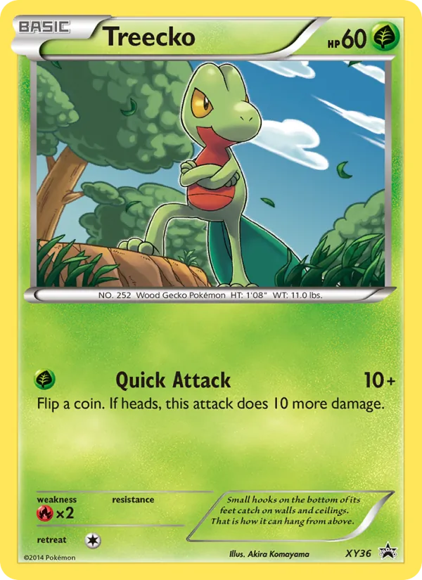 Treecko #XY36, XY Black Star Holo, TCGdex reference