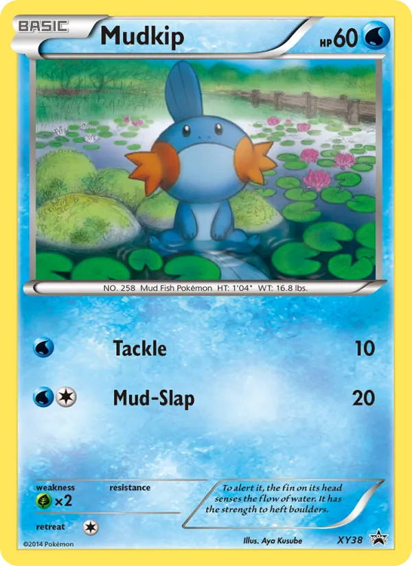 Mudkip #XY38, XY Black Star Holo, TCGdex reference