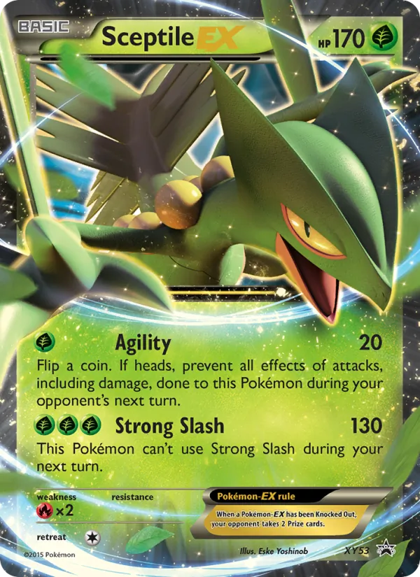 Sceptile EX #XY53, XY Black Star Holo, TCGdex reference