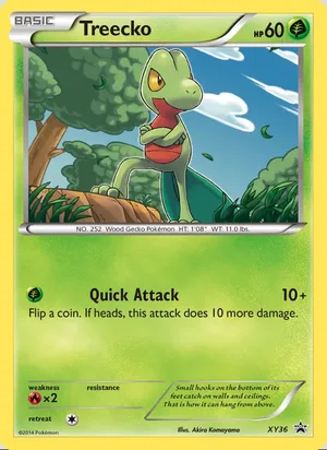 Treecko #XY36, XY Black Star Holo, TCGdex reference