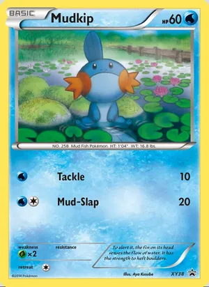 Mudkip #XY38, XY Black Star Holo, TCGdex reference