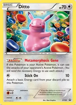 Ditto #XY40, XY Black Star Holo, TCGdex reference