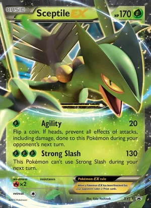 Sceptile EX #XY53, XY Black Star Holo, TCGdex reference