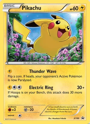 Pikachu #XY89, XY Black Star Holo, TCGdex reference