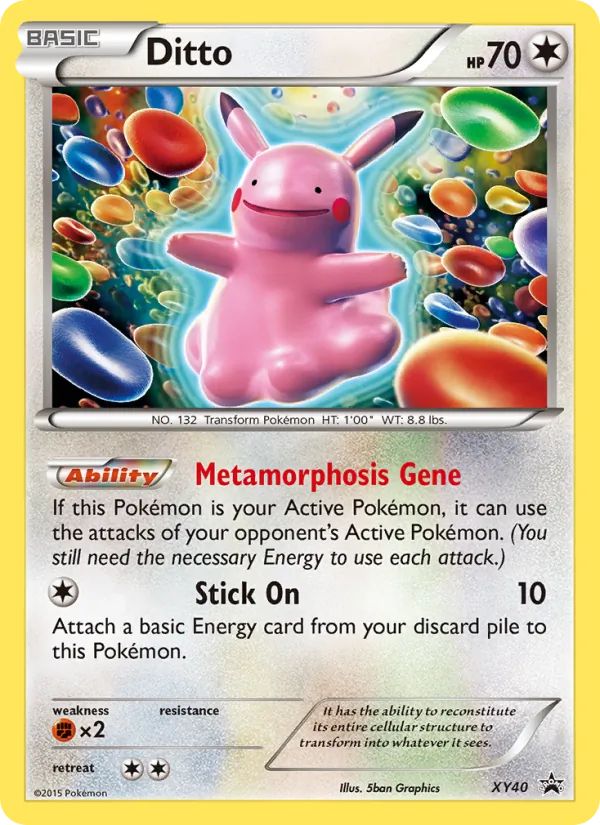 Ditto #XY40, XY Black Star Holo, TCGdex reference